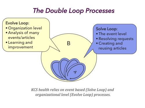 The Double Loop Processes