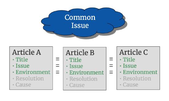 The Search for Common Issues - Consortium for Service Innovation